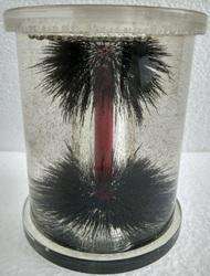 Magnetic Demonstration Kit