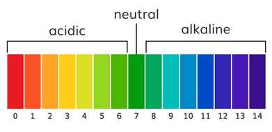 pH Color Chart