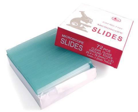 Glass Slides