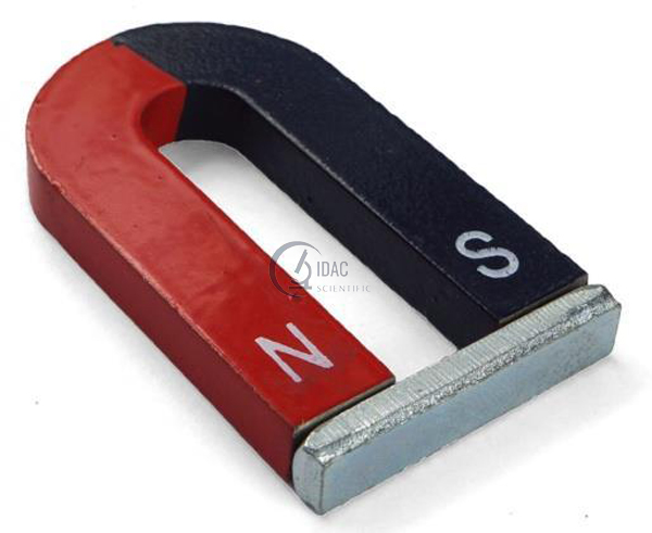 Horse Shoe Magnet