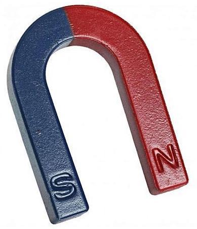 Horse - Shoe Magnets