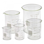 Glass Beaker Set of 5