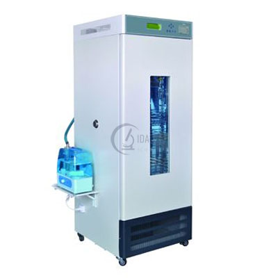 Constant Temperature and Humidity Incubator